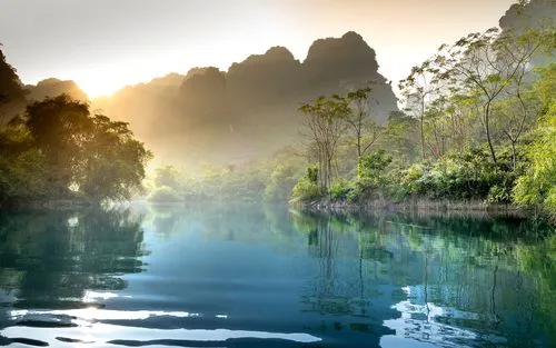 高效先进高端